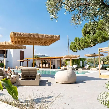 The Mini 4* Принос